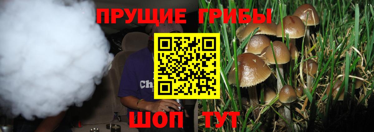 Псилоцибиновые грибы Magic Shrooms  Псилоцибиновые грибы ЛСД  Череповец  Вход с VPN 