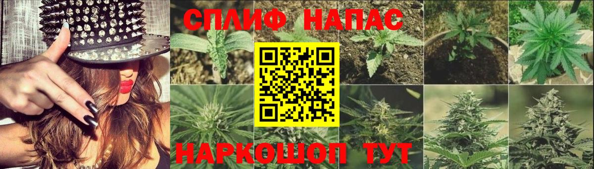 Марихуана конопля  Вход с VPN  Бошки Шишки AK-47  Череповец  Бошки марихуана ГИДРОПОН  Бошки Шишки план 